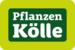 Pflanzen-Kölle